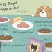 How often and why should you change your dog&#8217;s food?