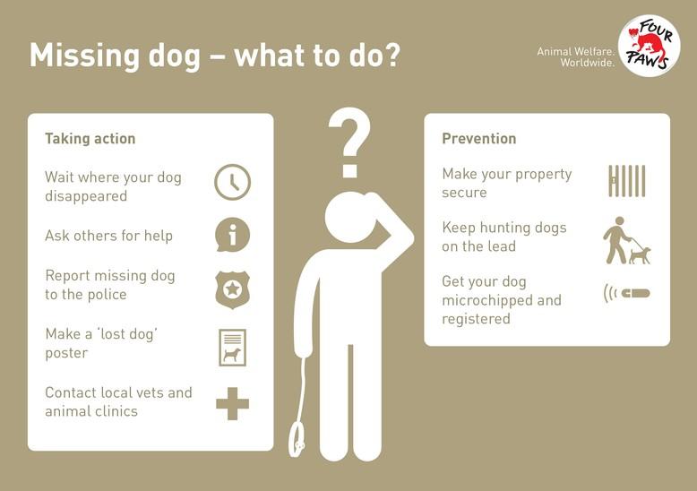 What to do if your dog is missing