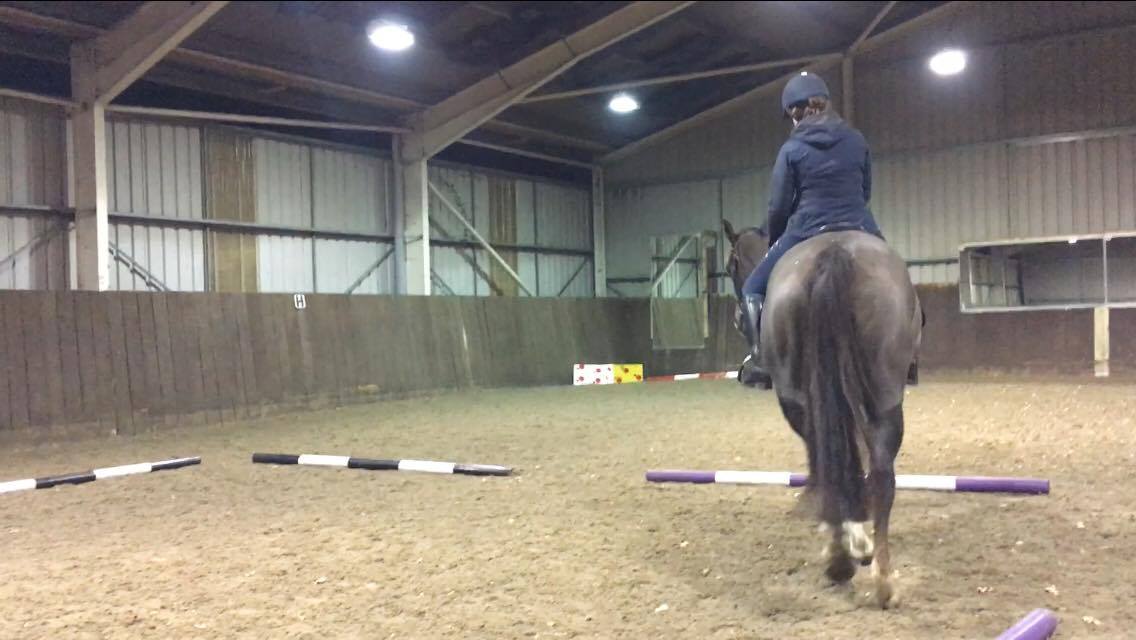 What to do to get the horse to take the snaffle? (an exercise)