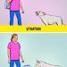 Four Ways to Maintain a Healthy Weight for an Adult Dog