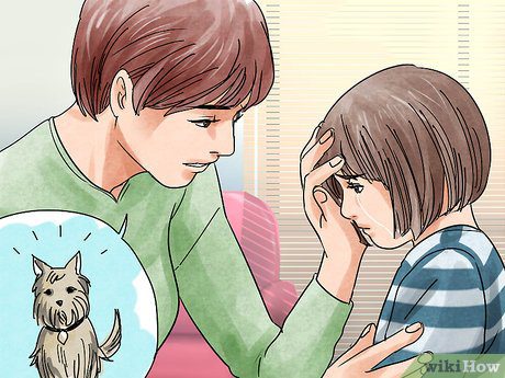What to tell a child if a cat or dog has died?