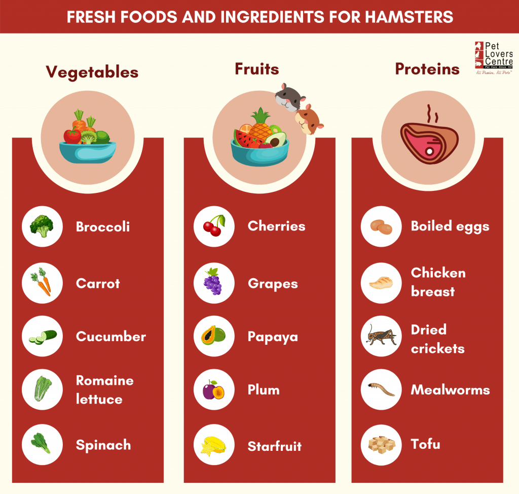 What vegetables and fruits can be given to hamsters
