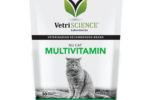 What vitamin complexes are necessary for cats and pregnant cats: useful recommendations from veterinarians and tips
