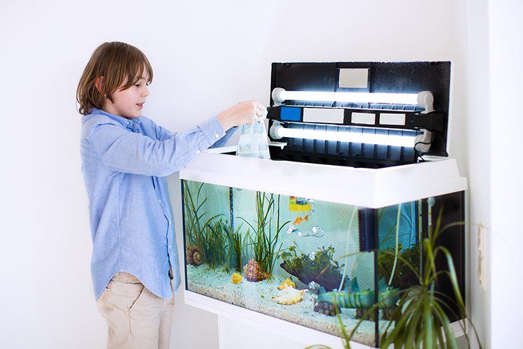 Where to put the aquarium?