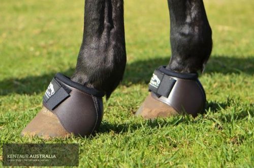 Which bells are right for your horse?
