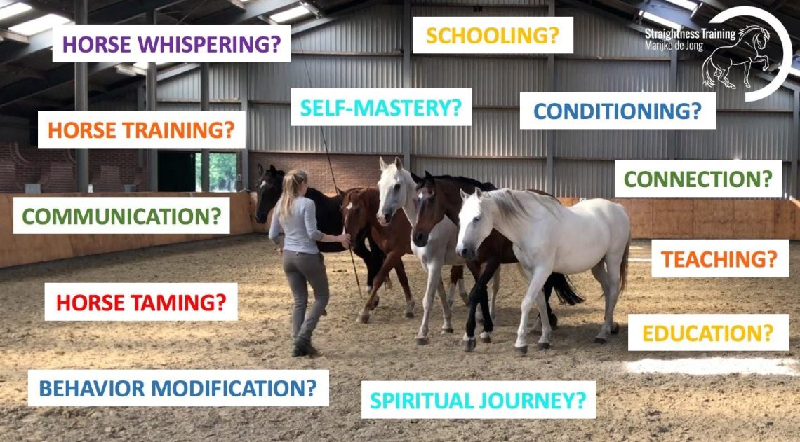 Why do all trainers teach horses to turn differently?