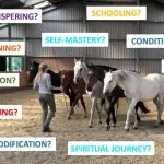 Why do all trainers teach horses to turn differently?