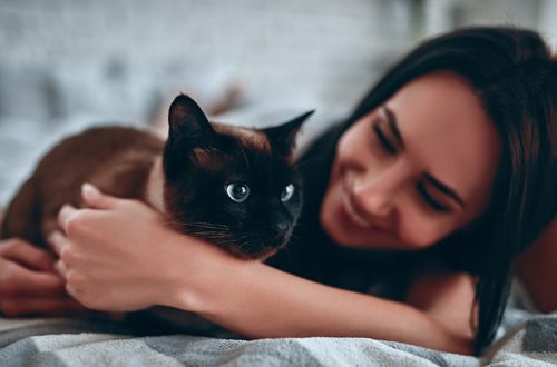 Why do cats sleep on humans?