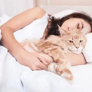 Why does a cat sleep next to a person