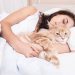 Monogamous cats: how a cat chooses its person