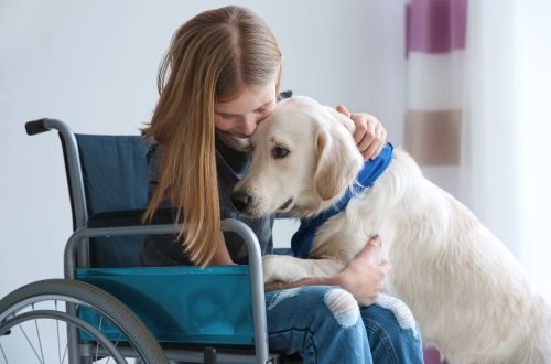 Why dog ​​therapy is needed for children
