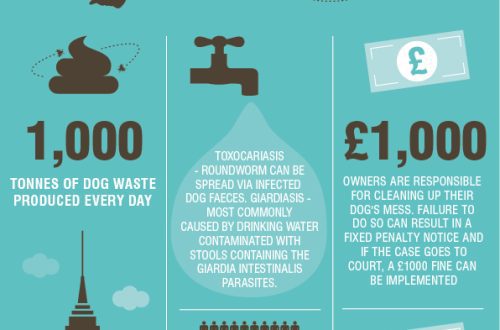 Why is it important to clean up after your dog?