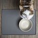 5 Super Healthy Cat Treats