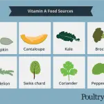 Why vitamins are needed for chickens, what is affected by their lack
