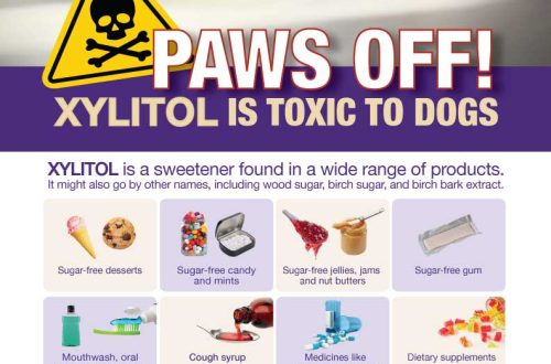 Why Xylitol Sweetener Is Bad For Your Dog