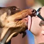 Why you shouldn’t kiss cats: let’s talk about natural causes