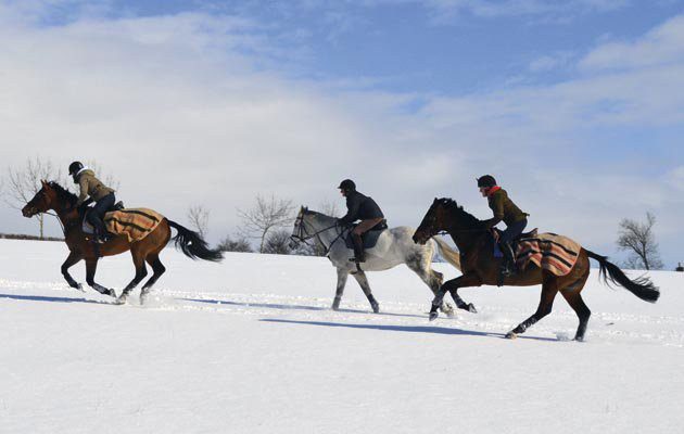 Winter without an indoor arena: how to survive in the cold