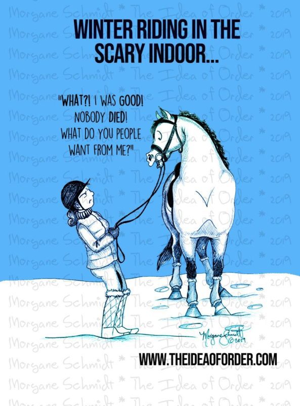 Winter without an indoor arena: how to survive in the cold