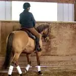 Work on bending with a restrained horse