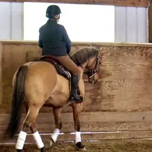 Work on bending with a restrained horse