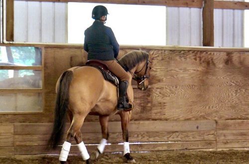 Work on bending with a restrained horse