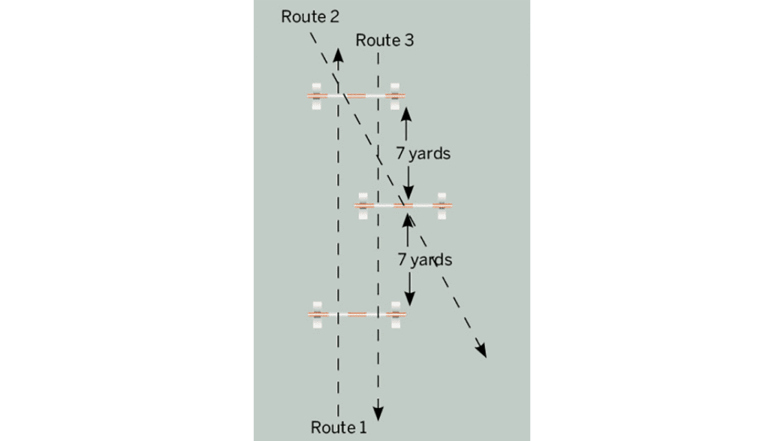 Working in rows for experienced horses (exercises)