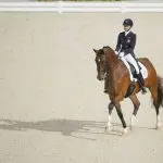 ​Working the rider on the walk – training balance and “feeling of the horse”