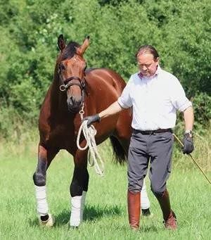 Working with a horse on the ground &#8211; without respect there is no cooperation