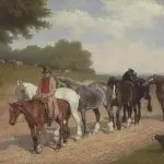 Working with a horse on the ground – without respect there is no cooperation