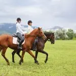 Yves Hootakers: “Our goal is to keep the horses fit and the riders motivated in the absence of tournaments”