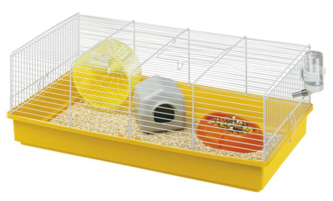 Cage for Djungarian hamster, dwelling for Djungarian (photo)