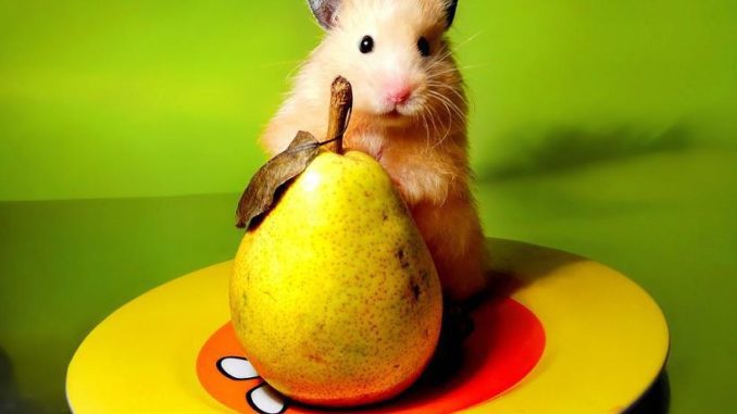 Can hamsters have a pear (Syrian, Dzungarian and other breeds)