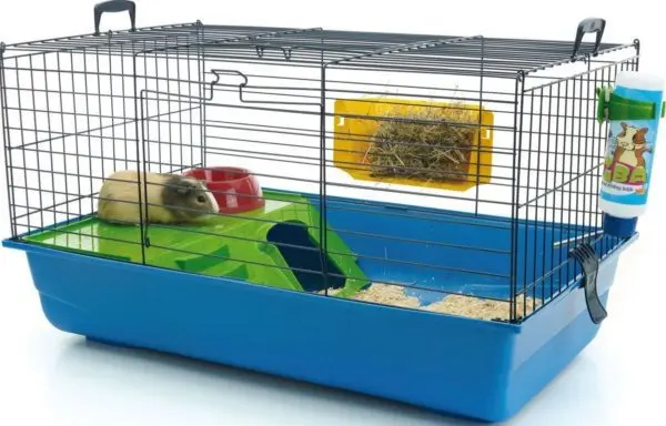 Choosing a cage for guinea pigs: the right sizes, materials of manufacture and an overview of popular brands