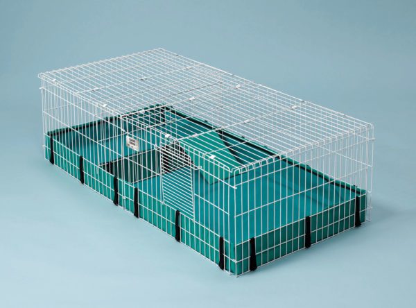 Choosing a cage for guinea pigs: the right sizes, materials of manufacture and an overview of popular brands