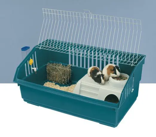 Choosing a cage for guinea pigs: the right sizes, materials of manufacture and an overview of popular brands