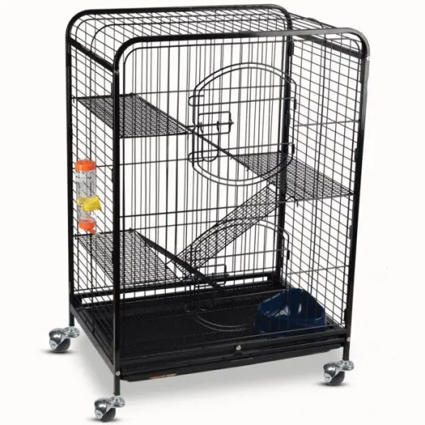 Choosing a cage for guinea pigs: the right sizes, materials of manufacture and an overview of popular brands