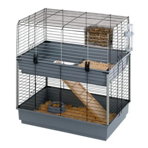 Choosing a cage for guinea pigs: the right sizes, materials of manufacture and an overview of popular brands