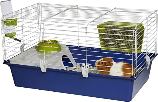 Choosing a cage for guinea pigs: the right sizes, materials of manufacture and an overview of popular brands