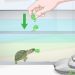 How to make an aquarium (aquaterrarium) for a red-eared turtle with your own hands at home