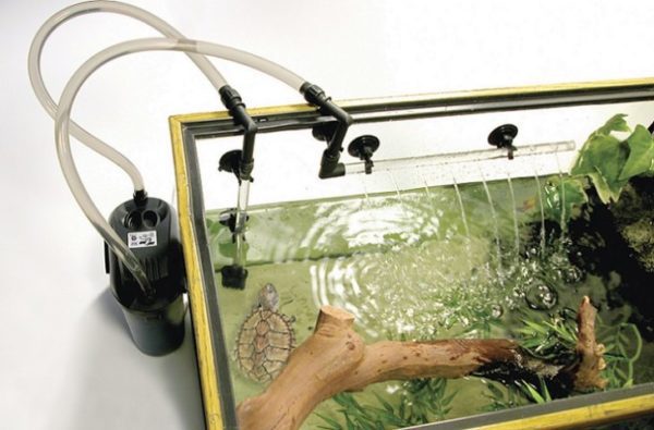 Filter in an aquarium with a red-eared turtle: selection, installation and use