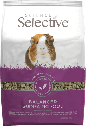 The best food for guinea pigs: composition, description, rating