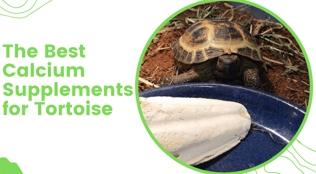 Vitamins and calcium for red-eared and tortoises