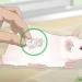 How to potty train a rat