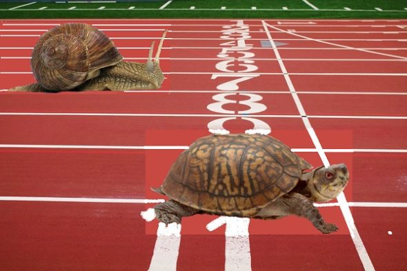 Who is faster: a snail or a turtle?